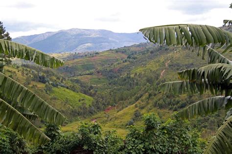 Burundi | Wild Safari Guide