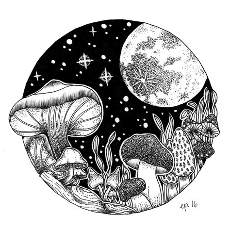 Midnight Mushrooms | Black ink art, Ink illustrations, Mushroom drawing