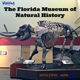 The Florida Museum of Natural History | Adventures of Mom