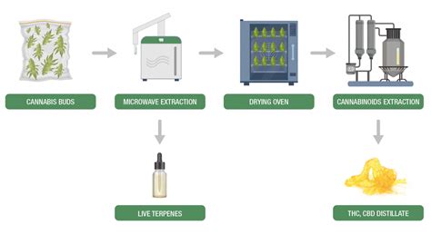 ETHOS X for high-quality terpenes extraction - Milestone - Helping Chemists