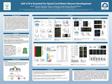 Template Scientific Poster