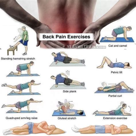 Back Pain Exercises - Healthy Back Workout Training Lower Higher. Injury recovery Fitness ...