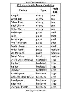 LIst of 22 Indeterminate Tomato Varieties – greenupside