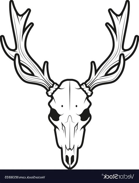 Elk Antler Vector at Vectorified.com | Collection of Elk Antler Vector free for personal use