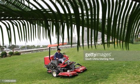 Sha Tin Park Photos and Premium High Res Pictures - Getty Images