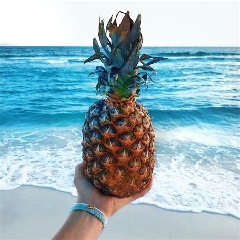 Stand tall like a pineapple x @floridiansunshine | Beach aesthetic, Summer vibes, Summer vibes ...