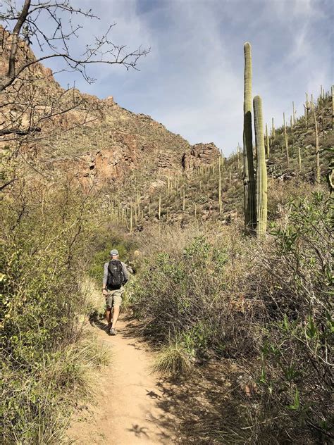 Ventana Canyon Trail: A Hiking Guide | TucsonTopia