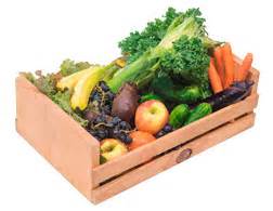 Our Organic Produce Boxes | Boston Organics