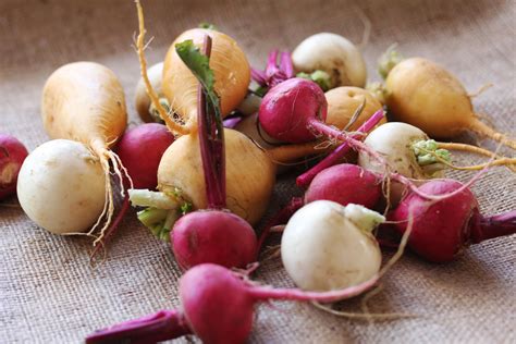 To Market, To Market with San Diego Foodstuff: Tempting Turnips ...