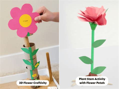 22 Fun And Engaging Activities To Learn About The Parts Of A Plant ...