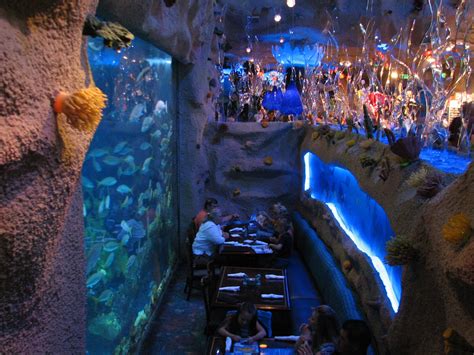 Aquarium Restaurant - ZooChat