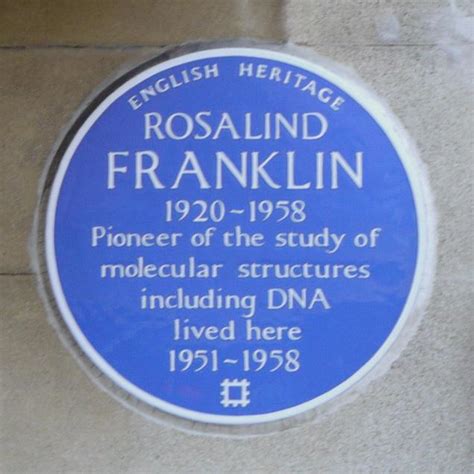 Rosalind Franklin : London Remembers, Aiming to capture all memorials ...