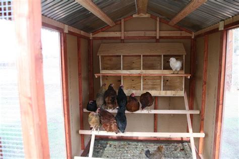 Inside Chicken Coop, Small Chicken Coops, Portable Chicken Coop, Best Chicken Coop, Chicken Coop ...