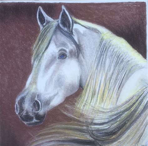 Horse Face Drawing at GetDrawings | Free download