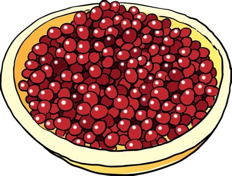 Free Cranberry Cliparts, Download Free Cranberry Cliparts png images ...