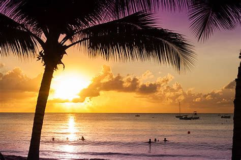 1,900+ Barbados Beach Sunset Stock Photos, Pictures & Royalty-Free ...