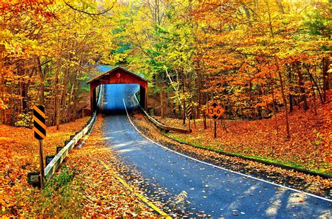 Fall Road Wallpapers - Top Free Fall Road Backgrounds - WallpaperAccess