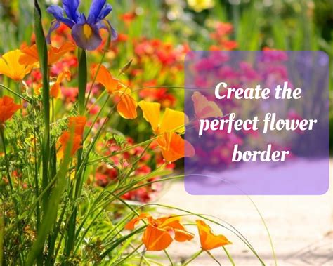 Creating Flower Bed Borders | Gardenologist