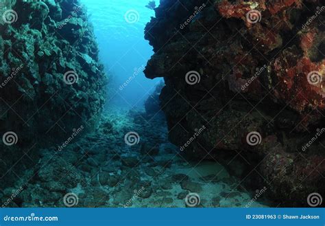 Underwater canyon stock image. Image of tropics, clear - 23081963