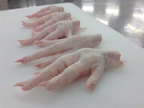 Premium Quality Chicken Feet Paws | 100% Wholesale