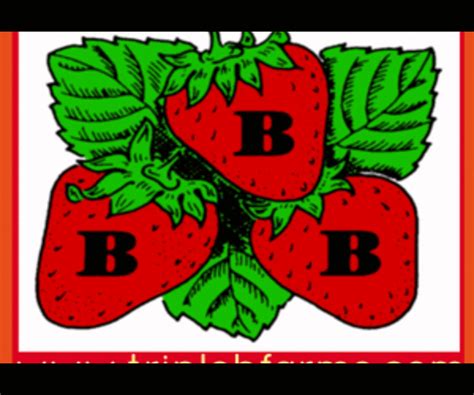 Triple B Farms Strawberry Festival! | Macaroni KID Beaver Valley