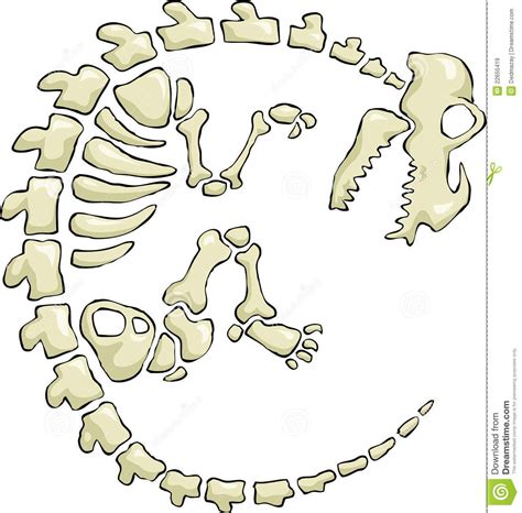 Dinosaur Skeleton Printable