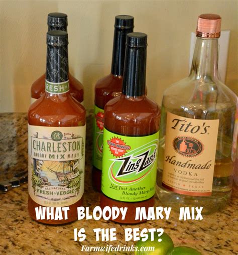 Want to make the best Bloody Mary? No fear, just use a mix. Find out what the best Bloody Mary ...