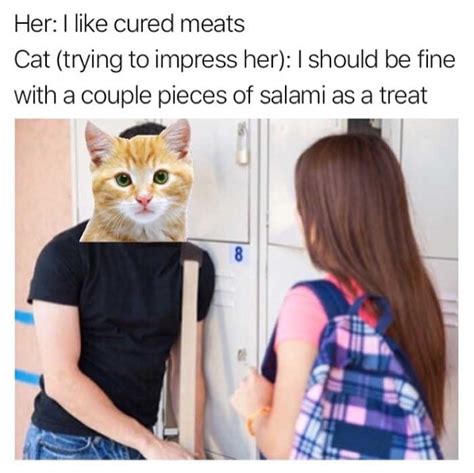 Yes Indeed, Cats Can Have A Little Salami (27 Memes)