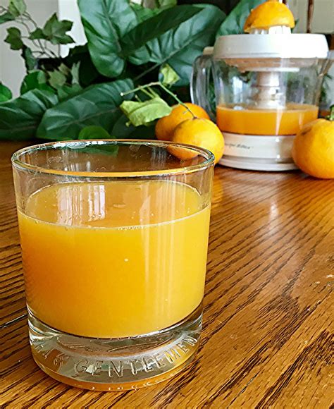 Fresh Orange Juice | Recipe | Orange juice recipes, Orange recipes, Freshly squeezed orange juice