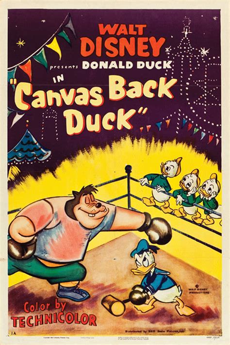 Canvas Back Duck