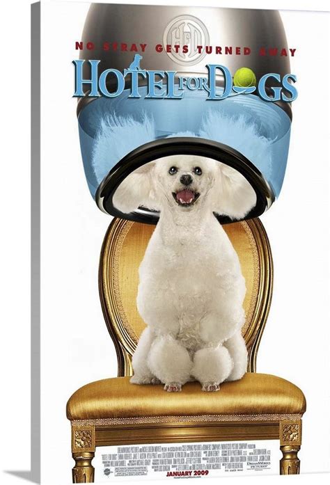 Hotel for Dogs - Movie Poster | Dog hotel, Dog movies, Dog friendly hotels