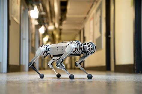 Mini cheetah is the first four-legged robot to do a backflip | MIT News | Massachusetts ...