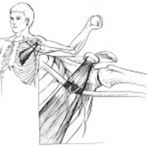 Good Stretches For Upper Back & Neck Pain