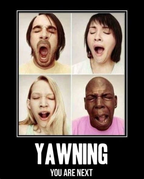 Yawning | Funlexia - Funny Pictures