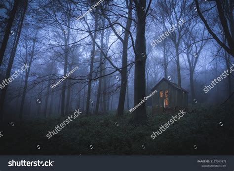 Photo Night Forest Small House Stock Photo 2157363371 | Shutterstock