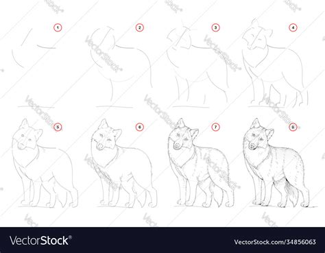 How to draw from nature step sketch Royalty Free Vector