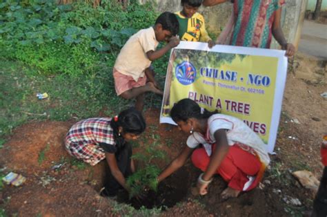 Plant trees in schools-Engage children in planting - GlobalGiving