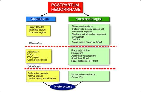 Postpartum Hemorrhage Simulation