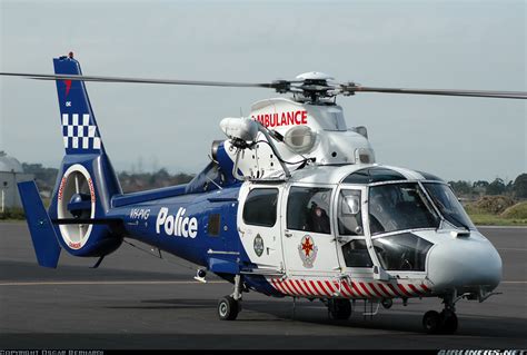 Eurocopter AS-365N-3 Dauphin 2 - CHC Helicopters Australia | Aviation Photo #0941635 | Airliners.net