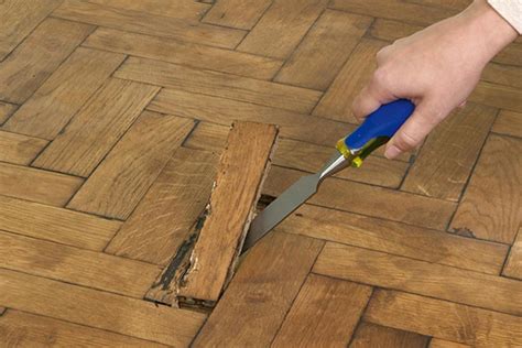 What To Look For In A Wood Floor Repair Service - Expert Home Improvement Advice by Philip Barron