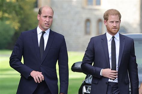 Prince William, Prince Harry ‘trying their best’ to get along