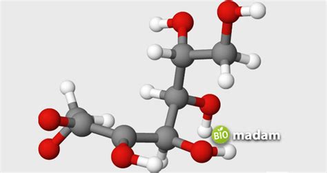 Difference Between Aldose and Ketose - biomadam