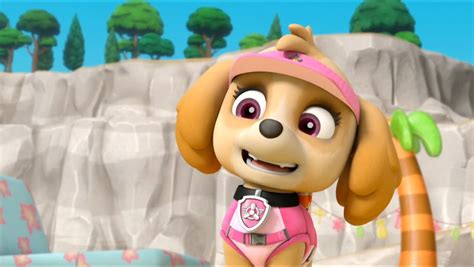 Skye, the Cockapoo - Paw Patrol, Patrulla de Cachorros foto (40719561) - fanpop