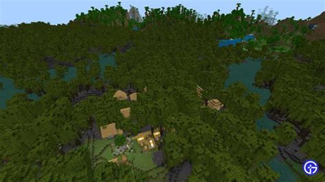 Best Mangrove Swamp Seeds In Minecraft 1.19 - Gamer Tweak