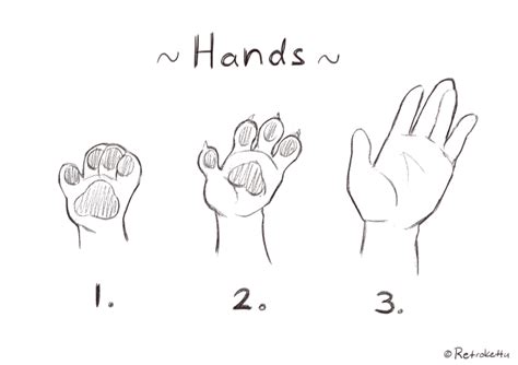 how to draw furry hands - saxon-math-intermediate-5-answers