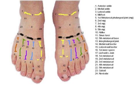 Top of Foot Pain | Runner's World Community