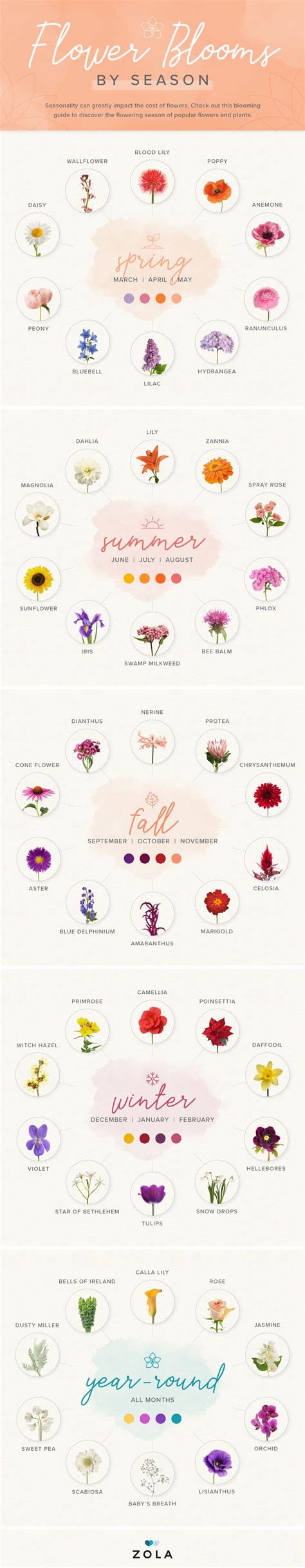 Flower blooms by Season [Visual] – ecogreenlove