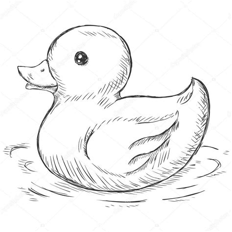 Related image | Sketches, Duck art, Drawings