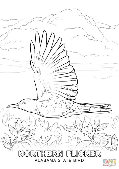 Alabama State Bird coloring page | Free Printable Coloring Pages