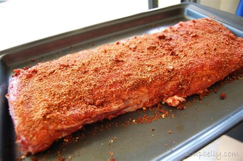 Dry Rub Oven Baked Pork Ribs - Soupbelly